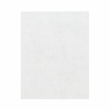 Manta de Absorção Pralim 40cm X 50cm - 100 Unid - Branco